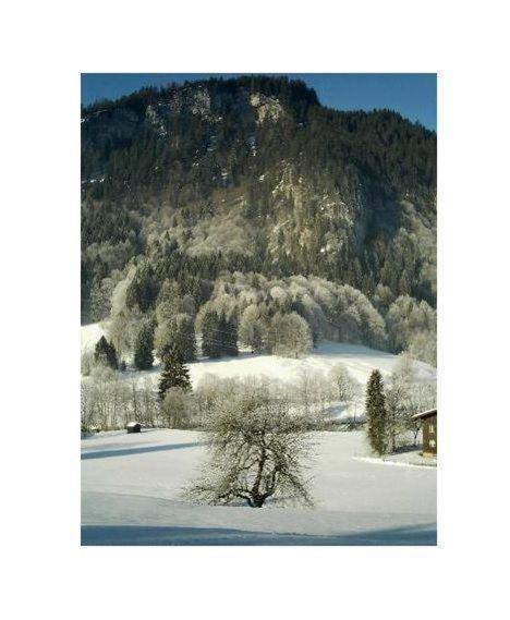 Falkenstein-Wohnung-4-Haus-B Oberstdorf Extérieur photo
